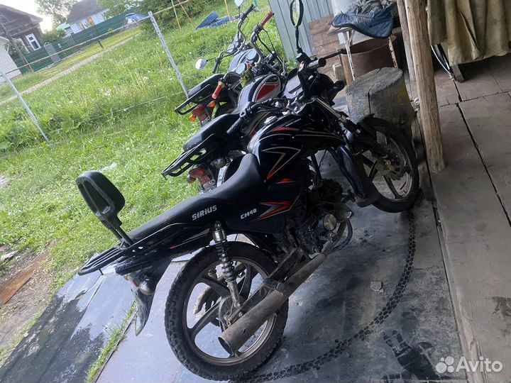 Alpha rx 11