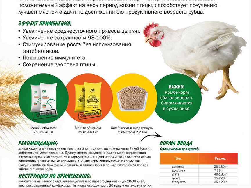 Глазовский корм для бройлеров старт. Глазовский комбикорм. Комбикорм ГКЗ для бройлеров.