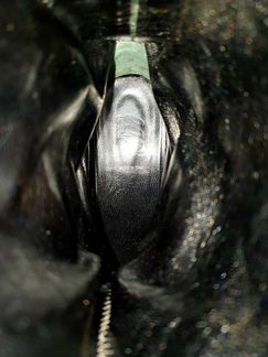 Сапоги Loriblu Италия