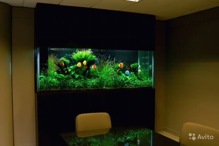 Уход и Обслуживание аквариума, прудов, водоёмов