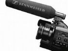 Sennheiser MKE 300 video