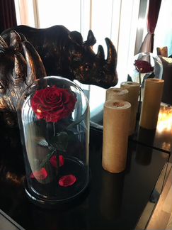 Роза в колбе с гарантией 5 лет