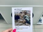 Фото в стеле polaroid и instagram объявление продам