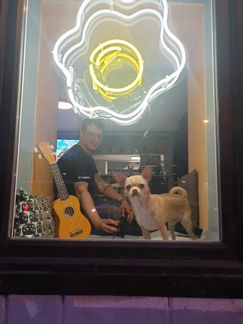 Неоновая вывеска Яичница