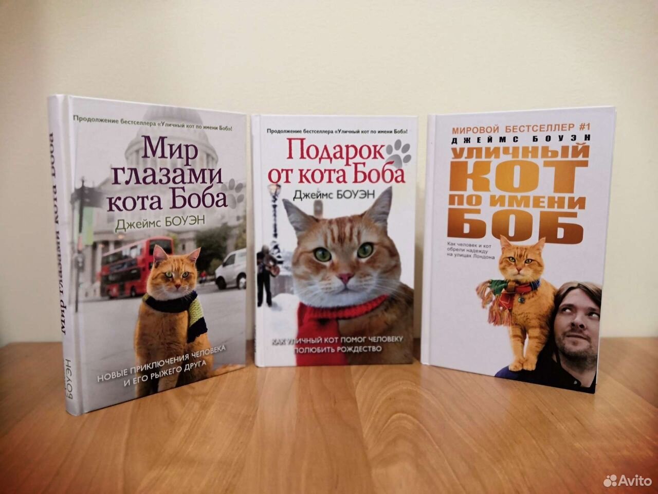 Кот боб читать. Уличный кот по имени боб книга. Уличный кот по имени боб книга. "кот по имени боб". Кот по кличке боб книга.