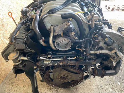 Двс (Двигатель) Audi A8D2 (4D 1997-2002) 1240