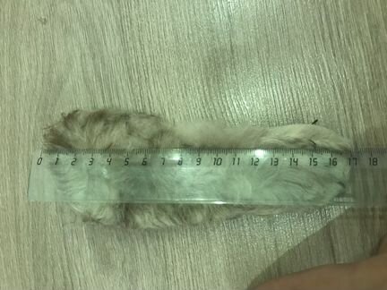 Унты