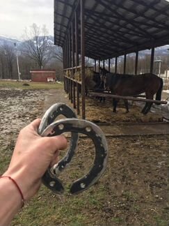 Ковка лошади, Расчистка копыт