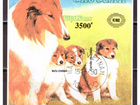 Собаки на почтовых марках объявление продам