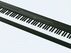 Цифровое пианино Yamaha p45(88) гарантия