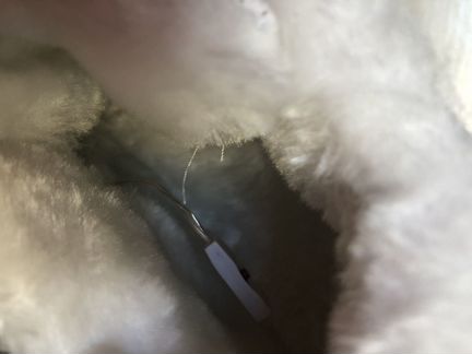 Кроссовки зимние с подсветкой fila