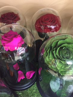 Стабилизированная роза в колбе, опт