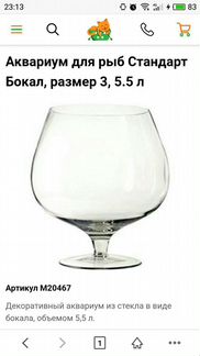 Бокал аквариум