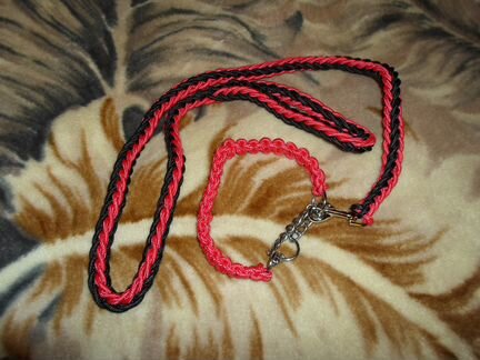 Поводок и ошейник