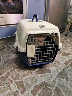 Переноска для животных